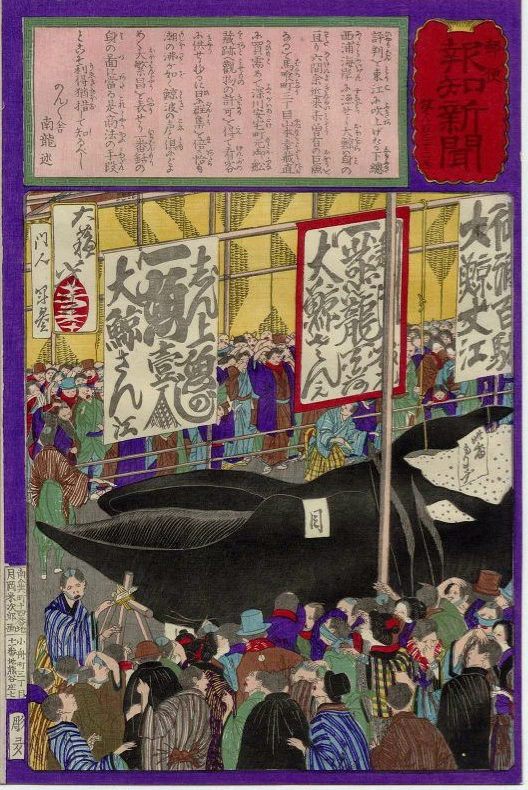 No. 832 Large crowds thronging to see the whale exhibited at Fukagawa.