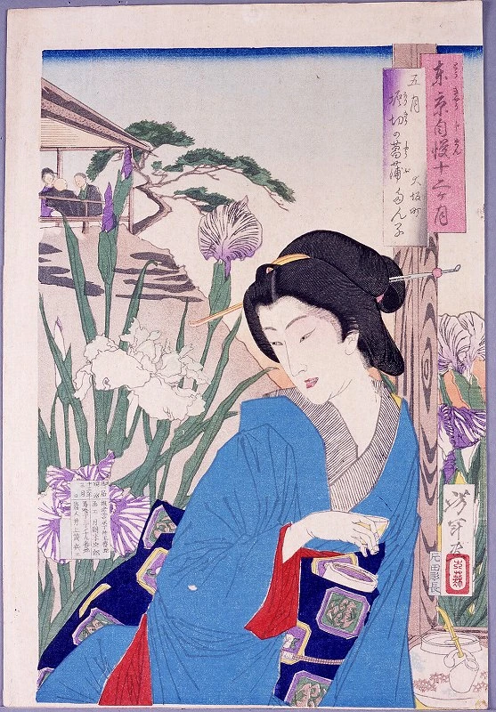 Tanko of Osakamachi in iris garden at Horikiri.
