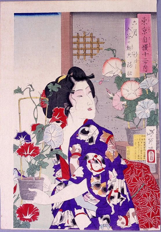 Fukusuke of Shimbashi with morning glories at Iriya.