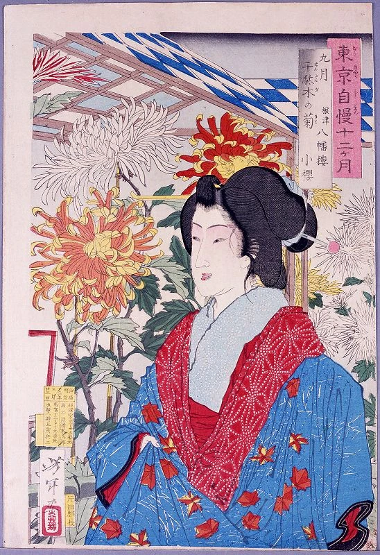 Geisha by chrysanthemums at Sendagi.