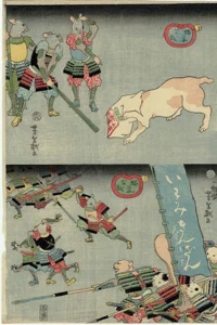 Cat struck in rice sack / The cat army advances